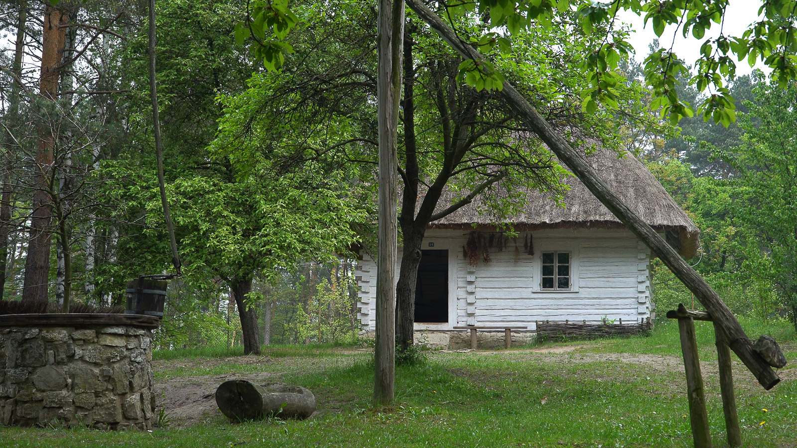 Dom kryty strzechą w otoczeniu drzew, przed nim po lewej studnia z żurawiem