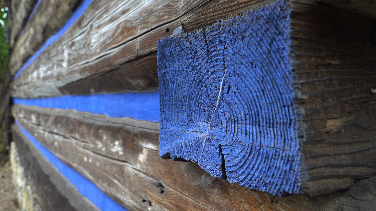 zewnętrzna ściana domu drewnianego malowana w niebieskie pasy